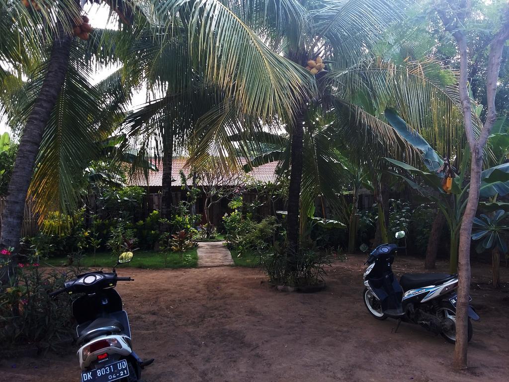 Molleh Guest House Pemuteran Eksteriør billede