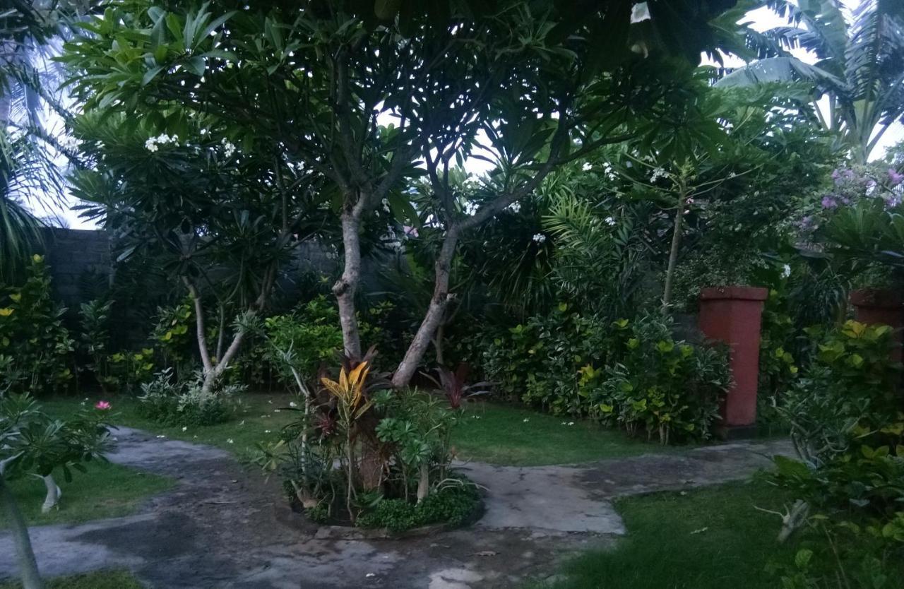 Molleh Guest House Pemuteran Eksteriør billede
